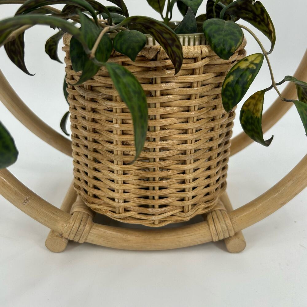 Rattan Hanging Planter Bentwood Wicker Basket MCM Plant Holder Organic Modern - Picture 3 of 4
